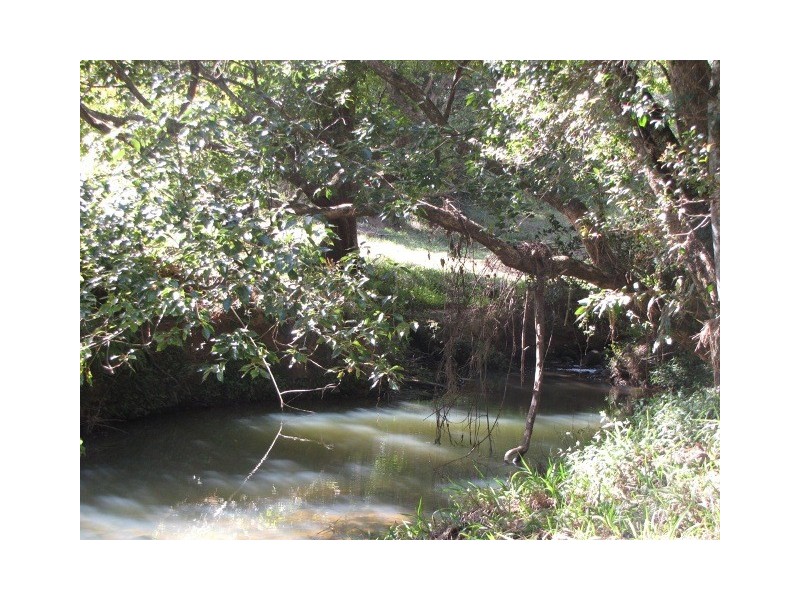 Black Mountain QLD 4563