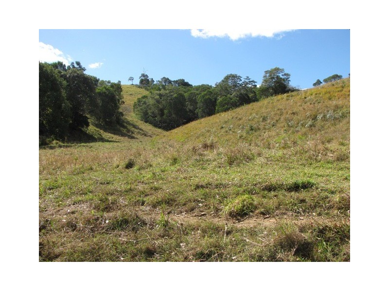 Black Mountain QLD 4563