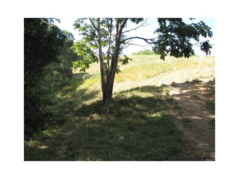 Black Mountain QLD 4563