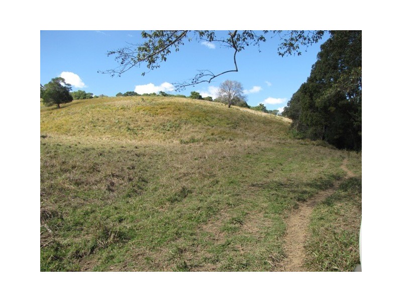 Black Mountain QLD 4563