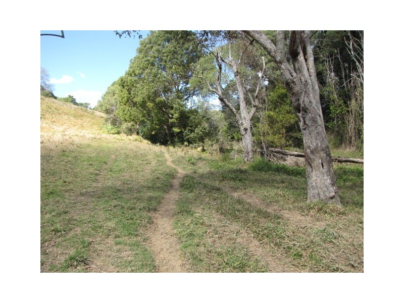 Black Mountain QLD 4563