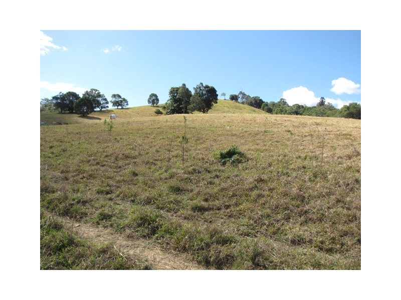 Black Mountain QLD 4563