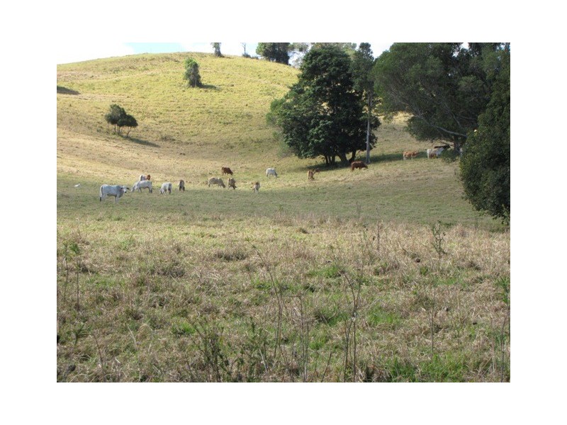 Black Mountain QLD 4563