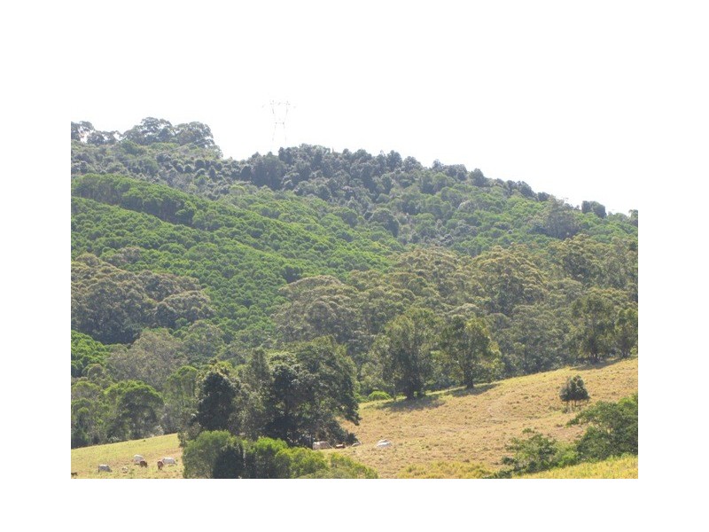 Black Mountain QLD 4563