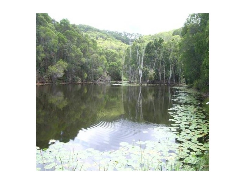 Black Mountain QLD 4563