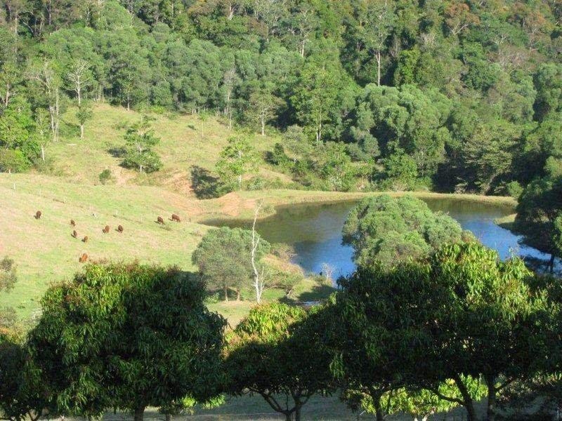 Cedar Pocket QLD 4570