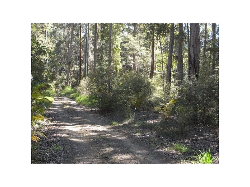 Cootharaba QLD 4565