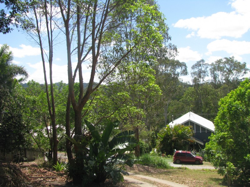 Cooran QLD 4569