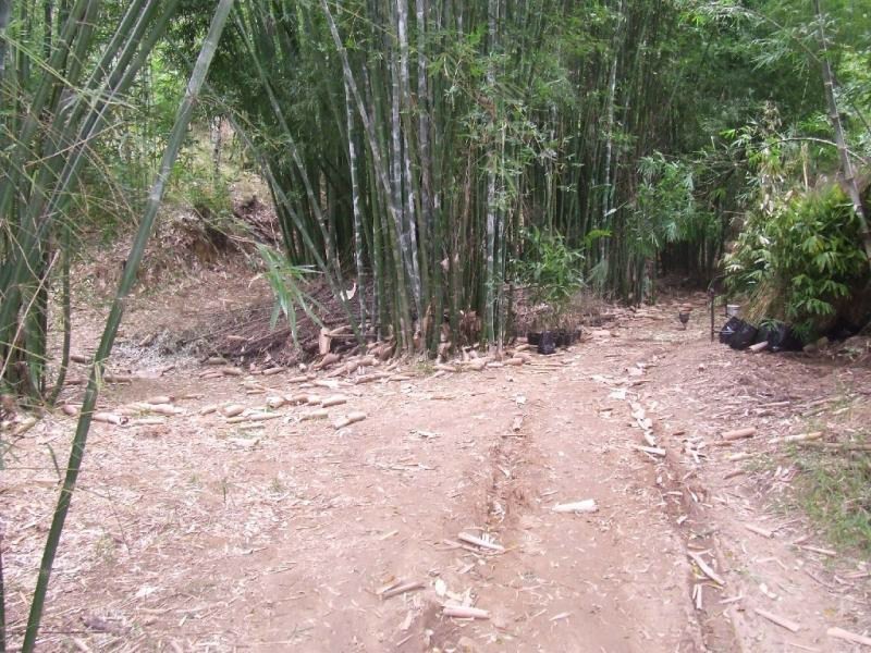 148 Eastern Branch Road, Kin Kin QLD 4571