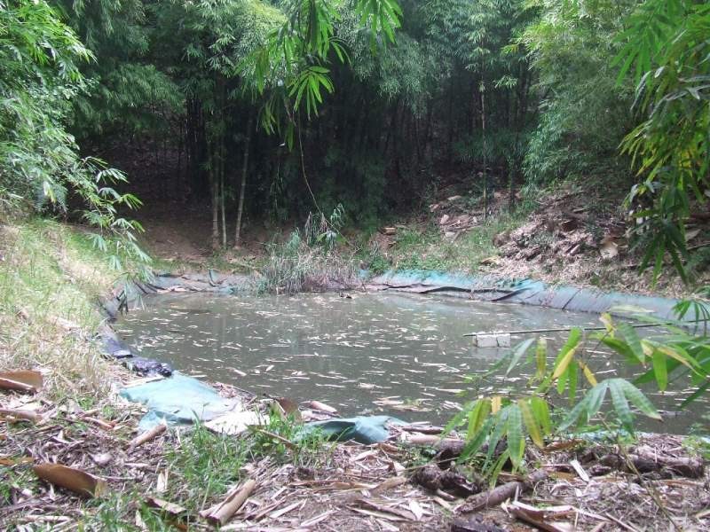 148 Eastern Branch Road, Kin Kin QLD 4571