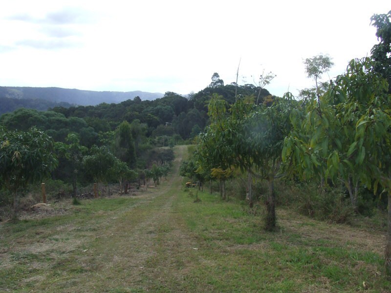 148 Eastern Branch Road, Kin Kin QLD 4571