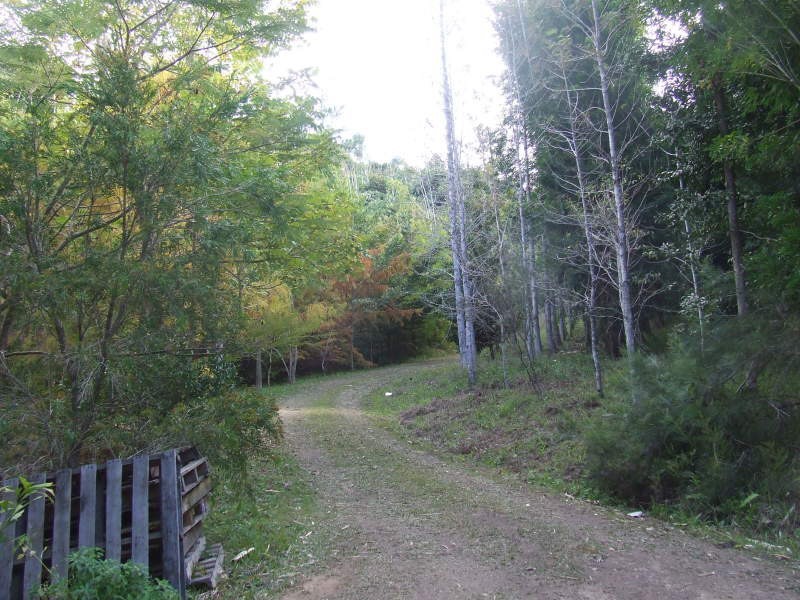 148 Eastern Branch Road, Kin Kin QLD 4571