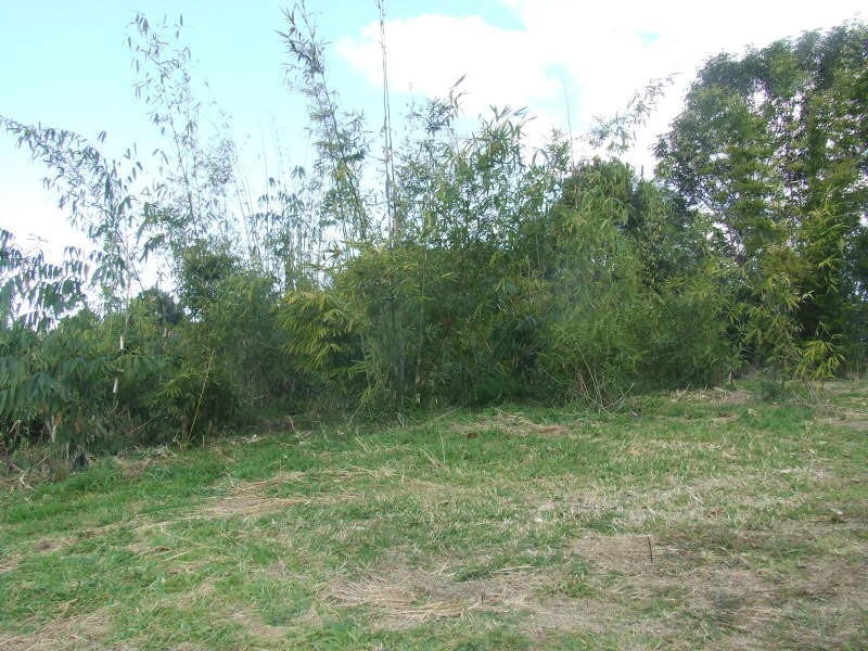 148 Eastern Branch Road, Kin Kin QLD 4571