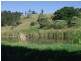 Ringtail Creek QLD 4565