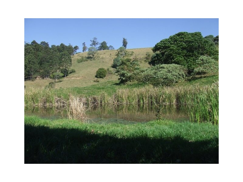 Ringtail Creek QLD 4565