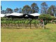Lot 31 Kelman Vineyard, Pokolbin NSW 2320