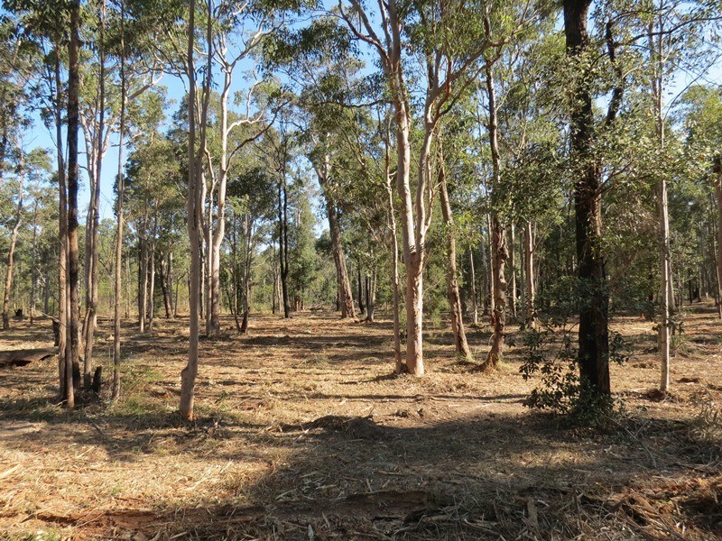 Lot 2 96 Abernethy Street, Kitchener NSW 2325