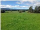 252 East Maurice Road, Ringarooma TAS 7263