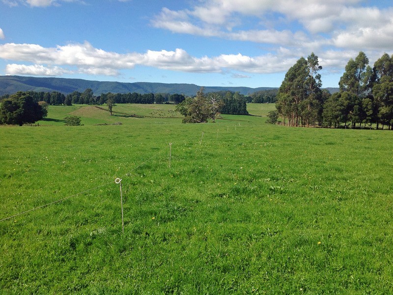 252 East Maurice Road, Ringarooma TAS 7263