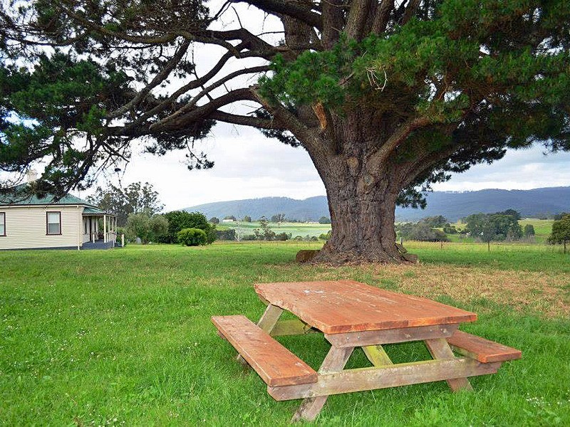 252 East Maurice Road, Ringarooma TAS 7263