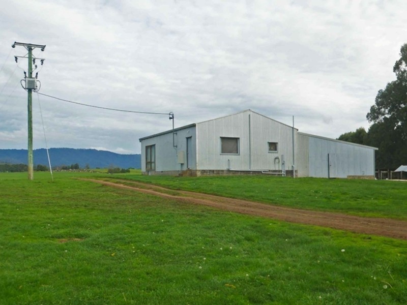 252 East Maurice Road, Ringarooma TAS 7263