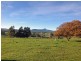 252 East Maurice Road, Ringarooma TAS 7263