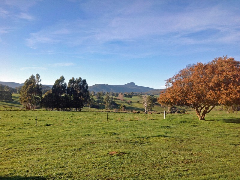 252 East Maurice Road, Ringarooma TAS 7263