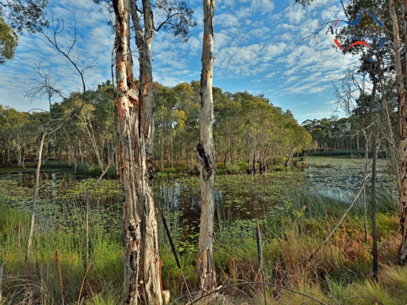 40 Korsman Drive, Thornlands QLD 4164