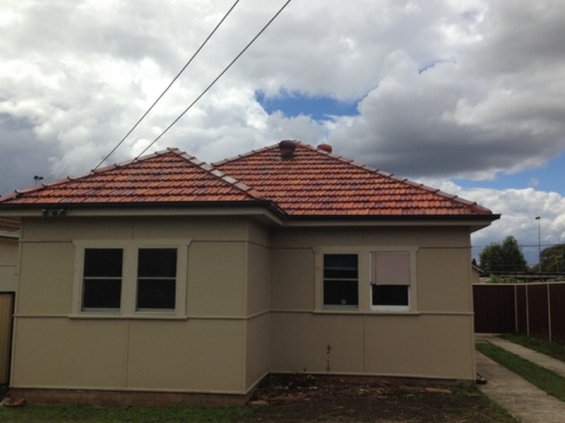 19 Lavinia Street, Granville NSW 2142