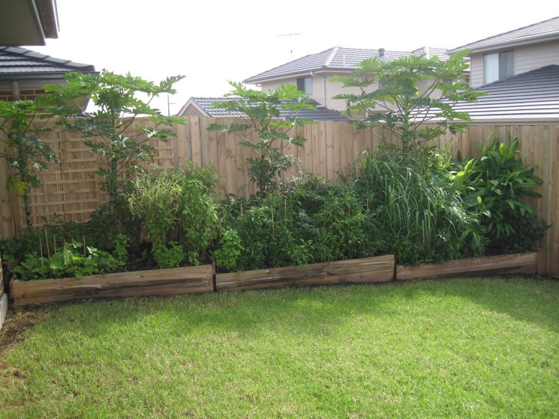 10 Camomile St, The Ponds NSW 2769