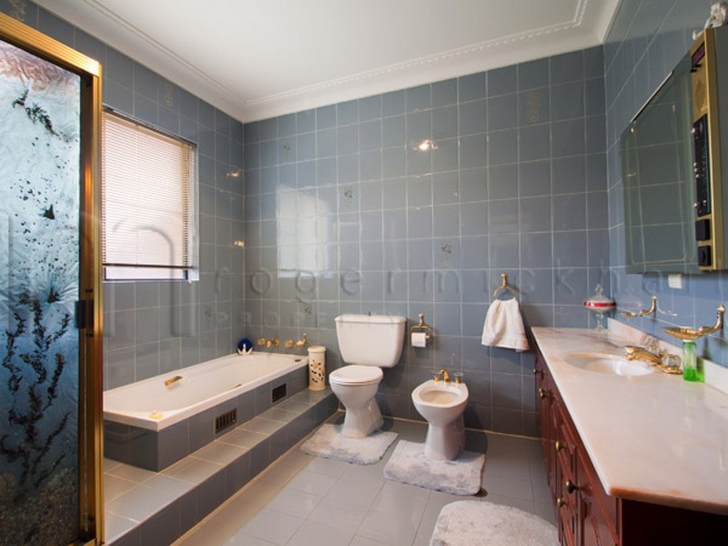 89 Hampden Road, Russell Lea NSW 2046