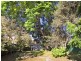 11 Daniel Street, Leichhardt NSW 2040