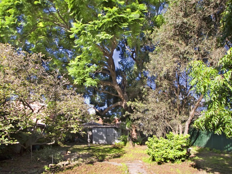 11 Daniel Street, Leichhardt NSW 2040