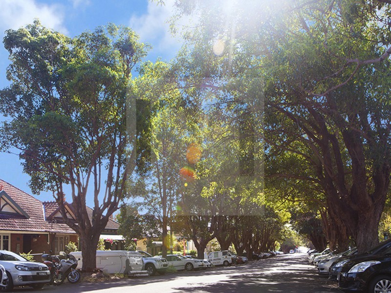 20 Mayes Street, Annandale NSW 2038