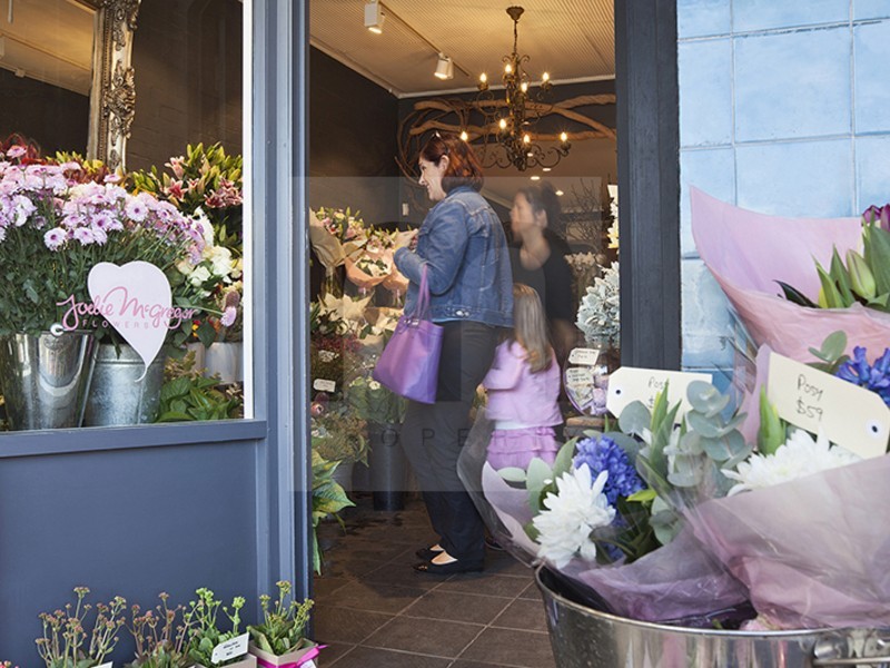 2/3 Hutchinson Street, Annandale NSW 2038