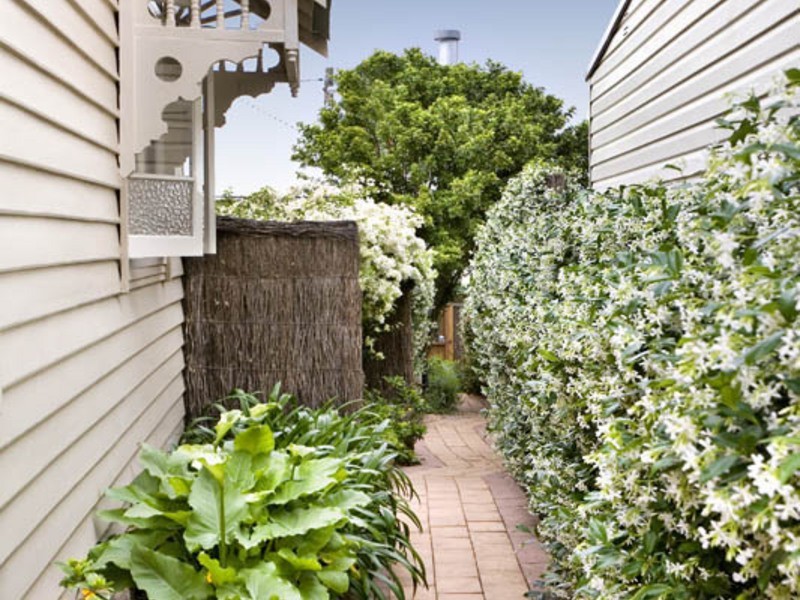 14A Theodore Street, Balmain NSW 2041