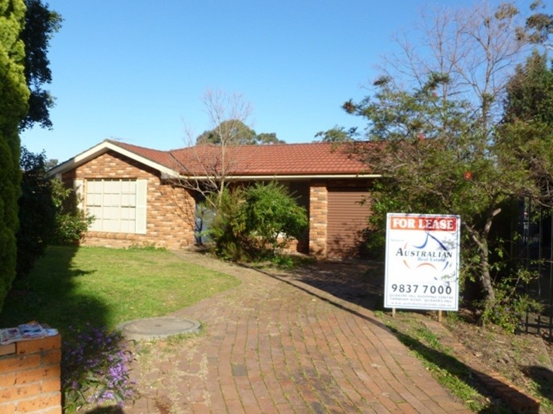 13 Yew Place, Quakers Hill NSW 2763