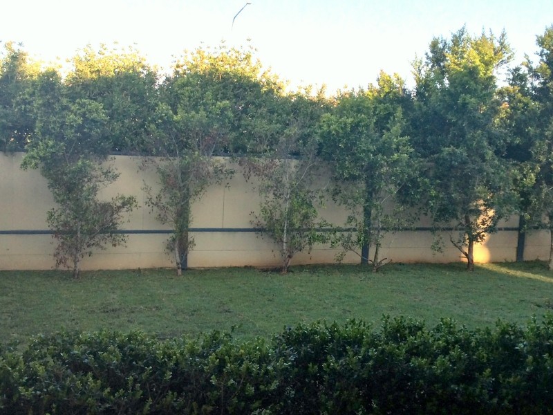 98 Trevor Toms Drive, Acacia Gardens NSW 2763