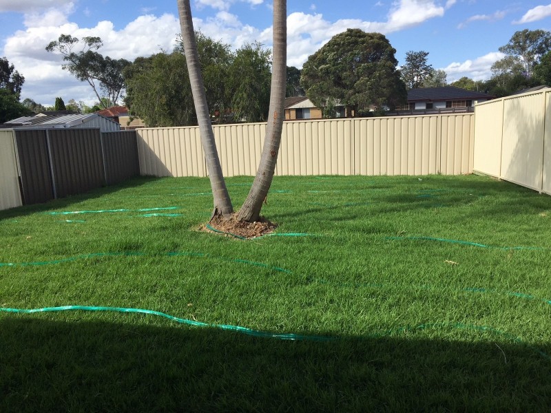 137a Lovegrove Drive, Quakers Hill NSW 2763