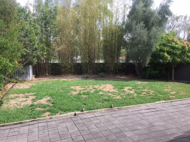 9 Zahra Place, Quakers Hill NSW 2763