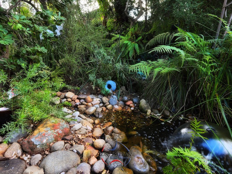 43  Adella Avenue, Blacktown NSW 2148