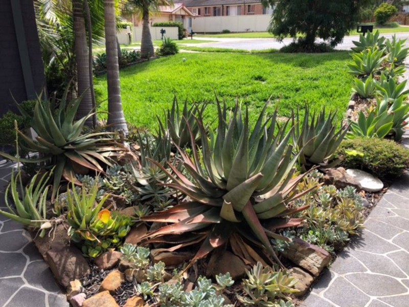 9 Zahra Place, Quakers Hill NSW 2763