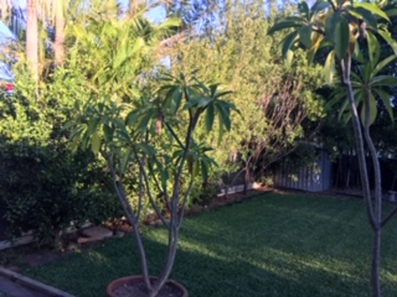 9 Zahra Place, Quakers Hill NSW 2763