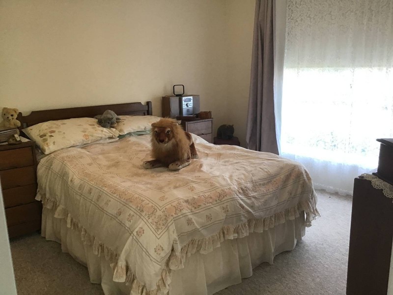 6 Devlin Place, Quakers Hill NSW 2763