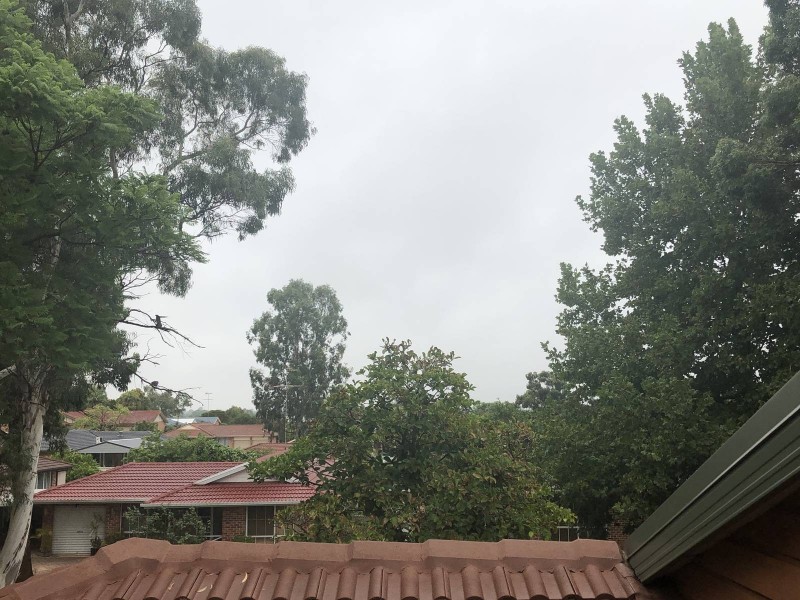 1 Zebra Place, Quakers Hill NSW 2763