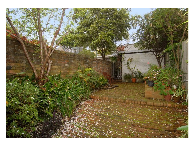 3 Windsor Street, Paddington NSW 2021