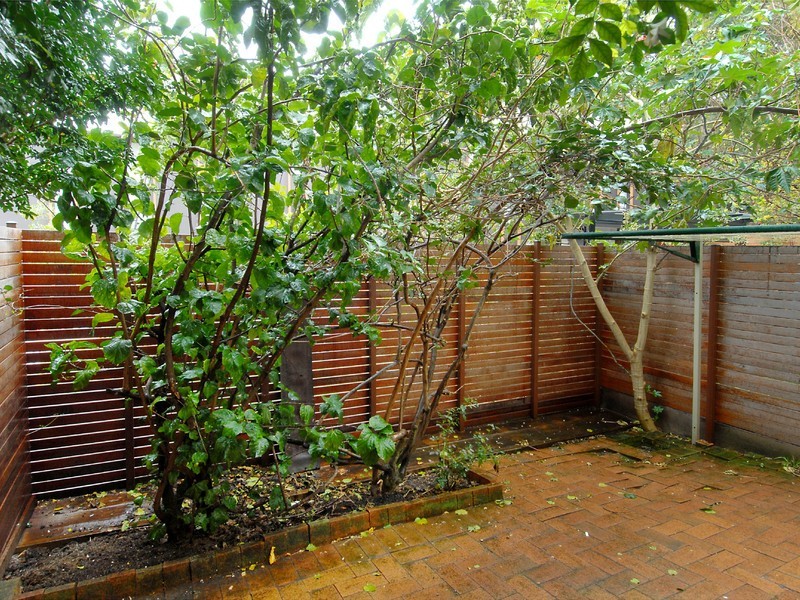 U/89-91 Dangar Street, Randwick NSW 2031