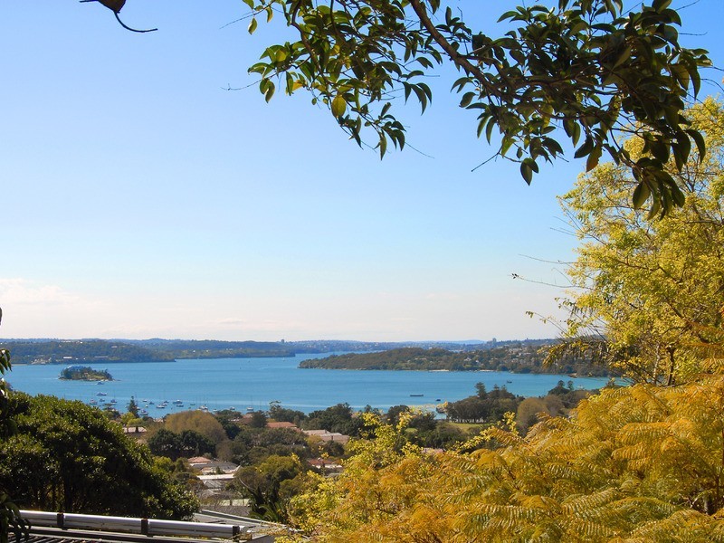 85 Drumalbyn Road, Bellevue Hill NSW 2023