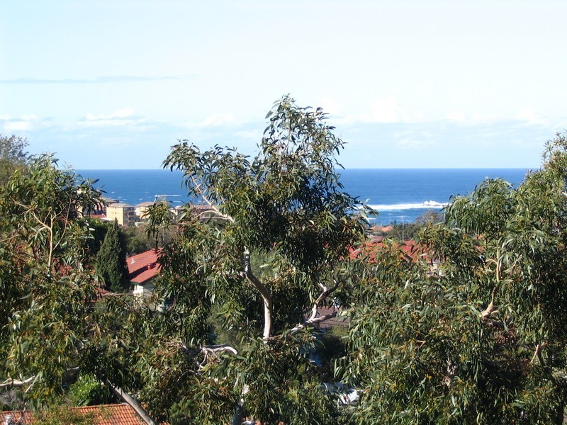 U/67 St Marks Road, Randwick NSW 2031