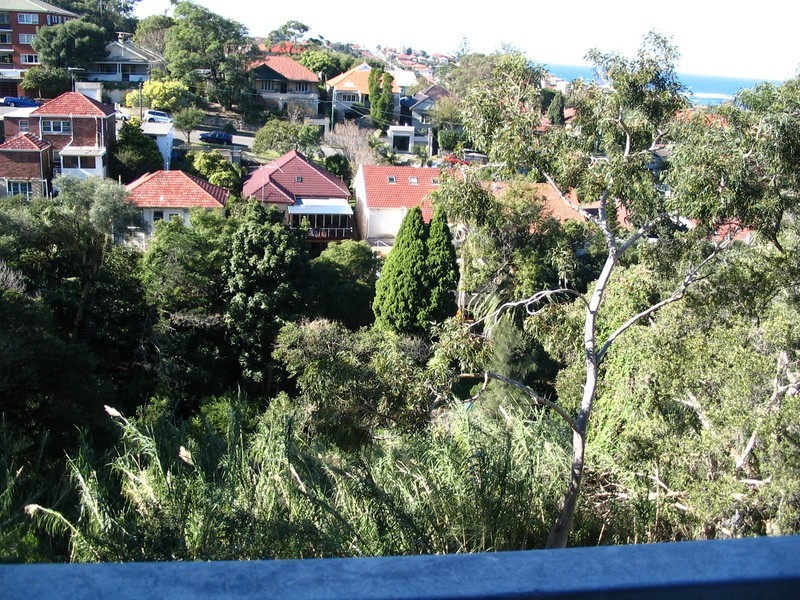 U/67 St Marks Road, Randwick NSW 2031
